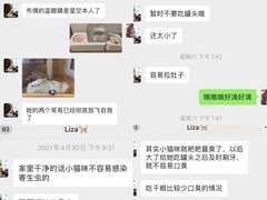 -猫猫幼稚园·撸猫·桌游·电玩