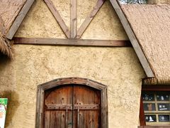 -合肥滨湖国家森林公园