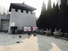 -亳州博物馆