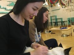 -萌喵咖啡屋(人民东路4号口M16商铺店)