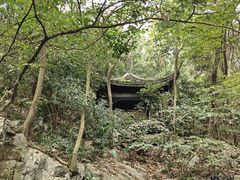 -国生茶庄·地道农家菜团建活动