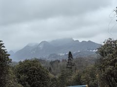 -贵州百里杜鹃风景名胜区