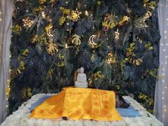 -彩虹桥宠物火化殡葬善终服务(金乐大厦店)