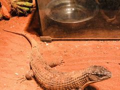 -多彩贵州城极地海洋世界