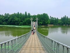 景点-东湖落雁景区