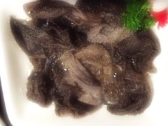 捞派毛肚（半）-海底捞火锅(高科广场店)