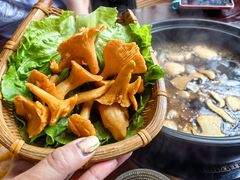 -滇野云南野生菌餐厅(陕西南路店)