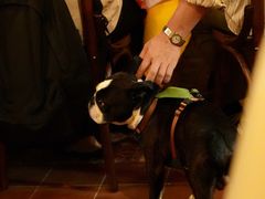 -La Tavernetta(Bar à Vin)(乌鲁木齐路店)