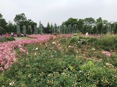 -尚贤河湿地