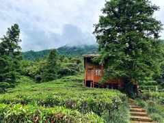 -姑婆山旅游区