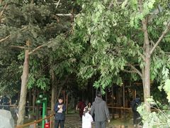 -吉林省自然博物馆
