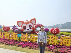 -野狸岛