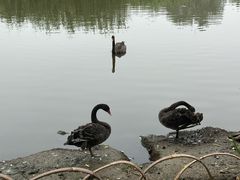 -东园小馆·早茶·淮扬小炒(宋夹城店)