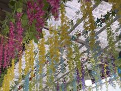 -马白开来特色羊排揪片子  (总店)