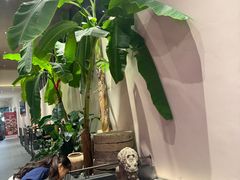 -单家老院·院子里的青岛菜(沙子口店)