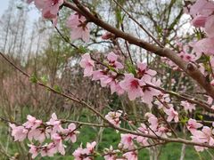 -上海市龙华烈士陵园