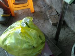 -马陆小张葡萄园农家乐