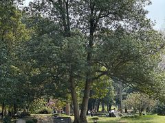 -杭州植物园