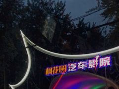 -枫花园汽车电影院(朝阳公园店)