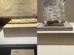 -张掖市博物馆