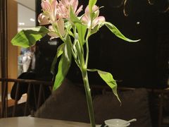 -淮扬府·游园京梦(北京SKP店)