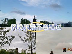 -龙华寺