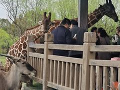-宁波野生动物园