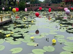 -广州莲花山旅游区