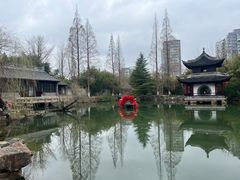 -水绘园