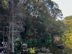 -深圳仙湖植物园