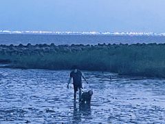 -南汇嘴观海公园