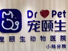 -宠颐生动物医院·小陆分院