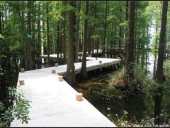 -东湖落雁景区