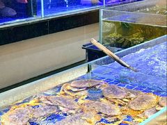 -粤珍轩.创始店.始于2001(含光门店)