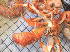 -海味当家·蒸锅海鲜(星海公园店)