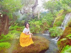 -Chom Cafe and Restaurant