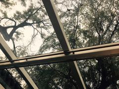 -小王府(什刹海店)