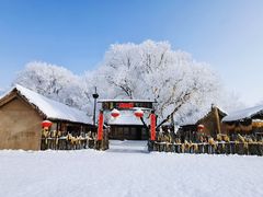 -雾凇岛