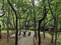 -观象山公园