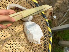 -马陆小张葡萄园农家乐