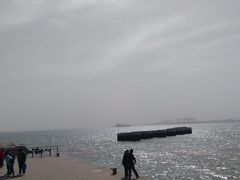 -东疆建设开发纪念公园