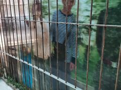 -北京动物园-畅观楼