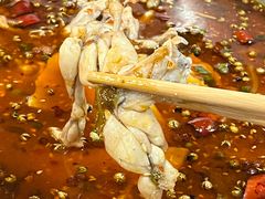 -靓蛙馆