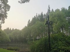 -瀛洲公园