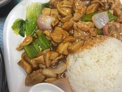 鲜菇肉片饭-烧鹅濑(西华路店)