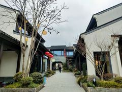 -雅达·阳羡溪山小镇中心