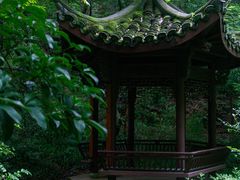 -虎跑公园