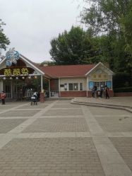 -酷酷兔少儿拓展天地