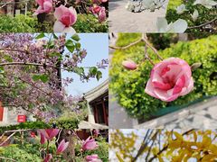 -北京奥林匹克公园