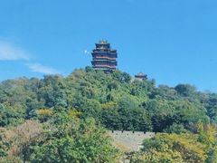 -七欣天香辣蟹火锅(南京建宁路大观天地店)